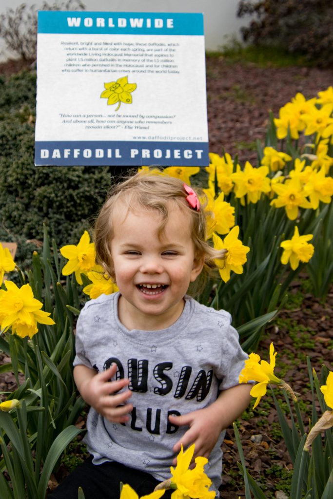 Daffodil Project