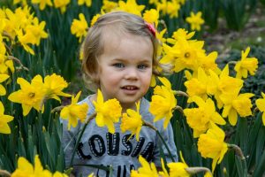 Daffodils 2021 (7 of 10)