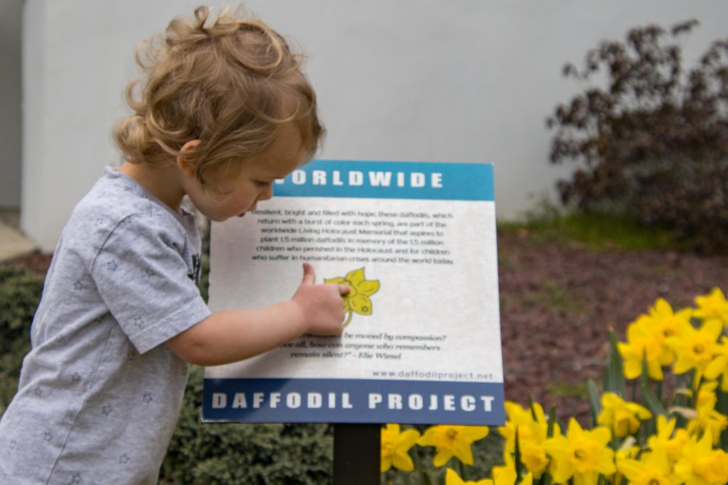 Daffodil Project